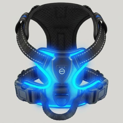 harnais chien lumineux sécurité bleu trois modes éclairage