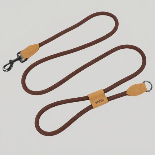 laisse de chien chocolat 180cm traction pour la course