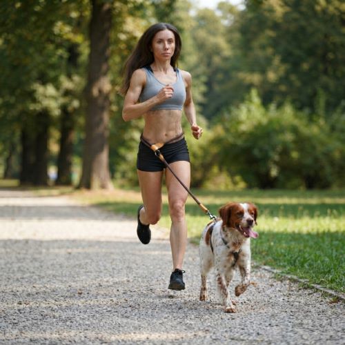 laisse de chien conception main libre