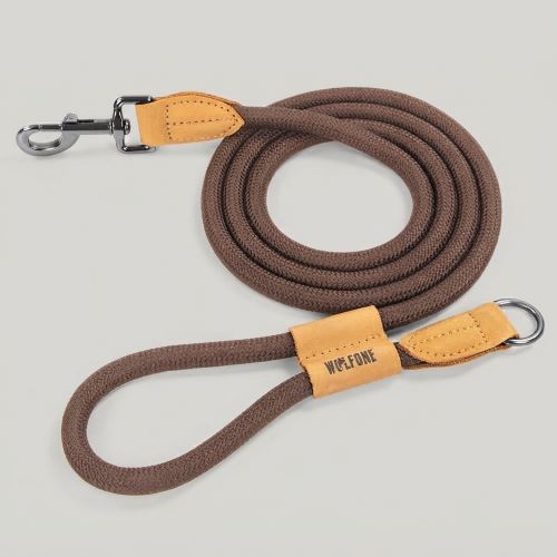 laisse de chien flexible élastique
