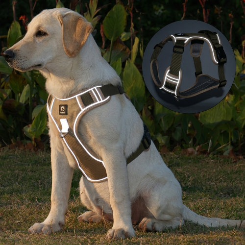chien harnais anti traction bandes réfléchissantes sécuritaires