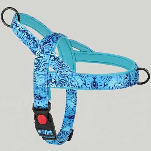 chien harnais anti traction bleu matériaux résistants