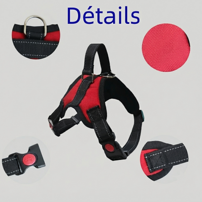 chien harnais anti traction description produit détail