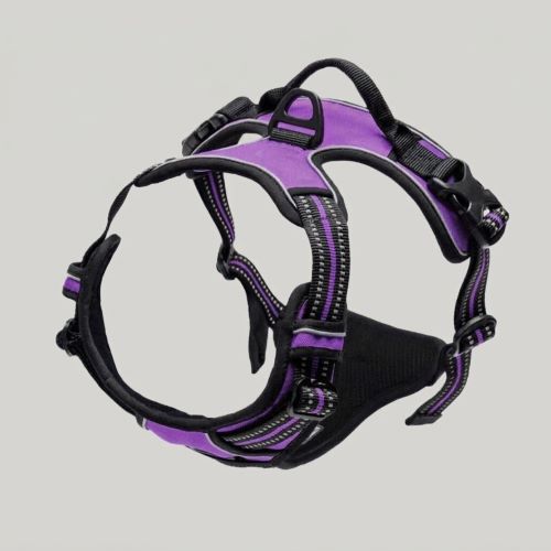 chien harnais anti‑traction mauve boucle robuste