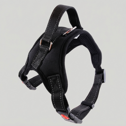 chien harnais anti traction noir conception sécurisée
