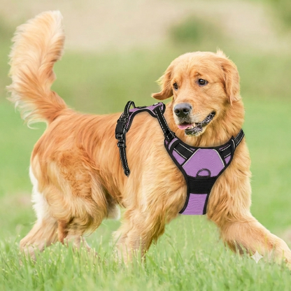 chien harnais anti‑traction poignée robuste