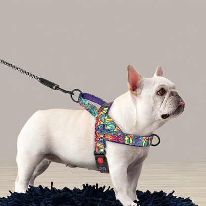 chien harnais anti traction toutes saisons