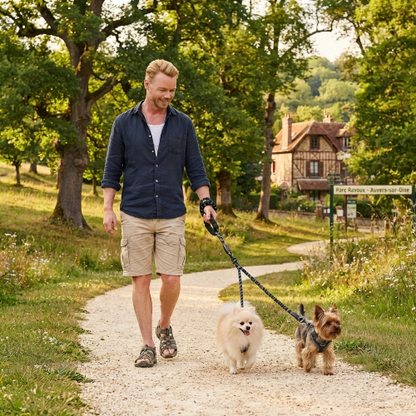 double laisse chien corde escalade robuste