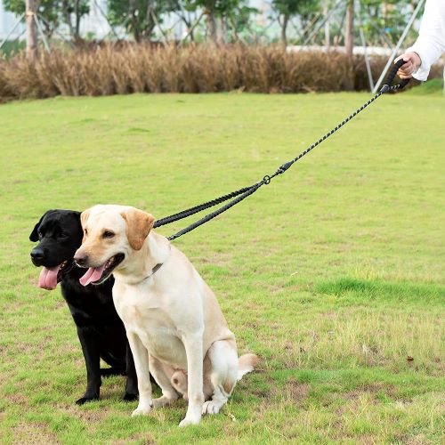 double laisse chien extension élastique 50 cm