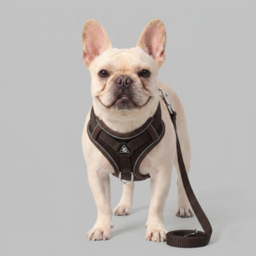 harnais anti traction chien chocolat polyester réfléchissant