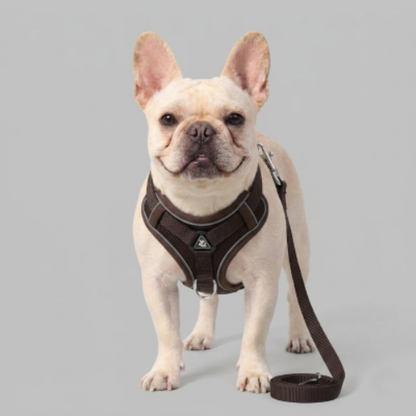 harnais anti traction chien chocolat polyester réfléchissant