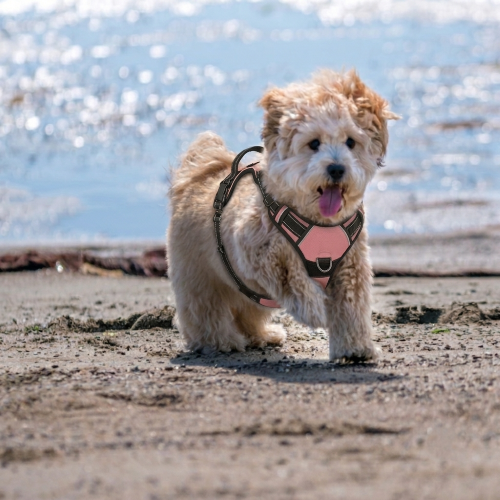 harnais anti traction chien couture réfléchissante
