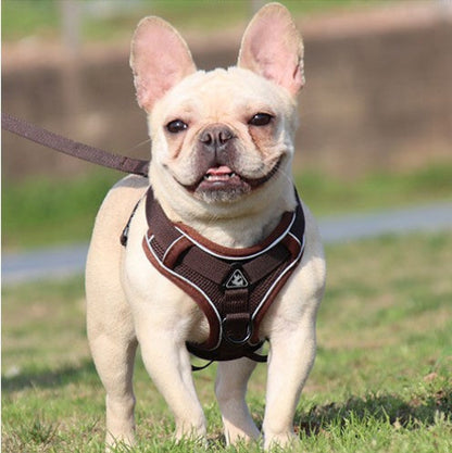 harnais anti traction chien ensemble laisse harnais