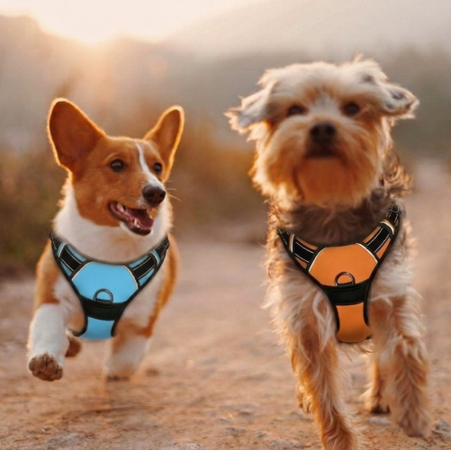 harnais anti traction chien sangle réglable