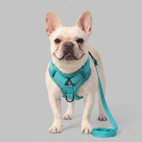 harnais anti traction chien vert polyester réfléchissant