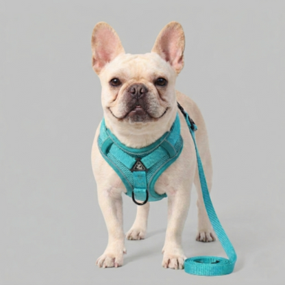 harnais anti traction chien vert polyester réfléchissant