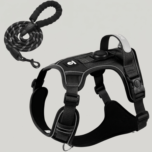 harnais anti traction noir laisse réfléchissante