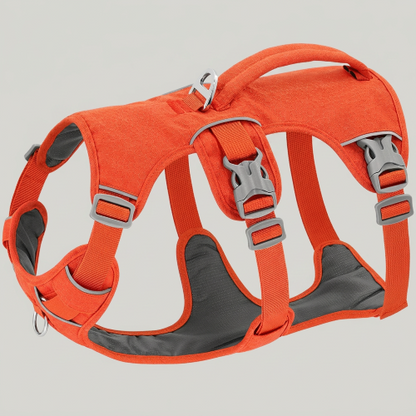 harnais anti traction orange rembourré doux nylon