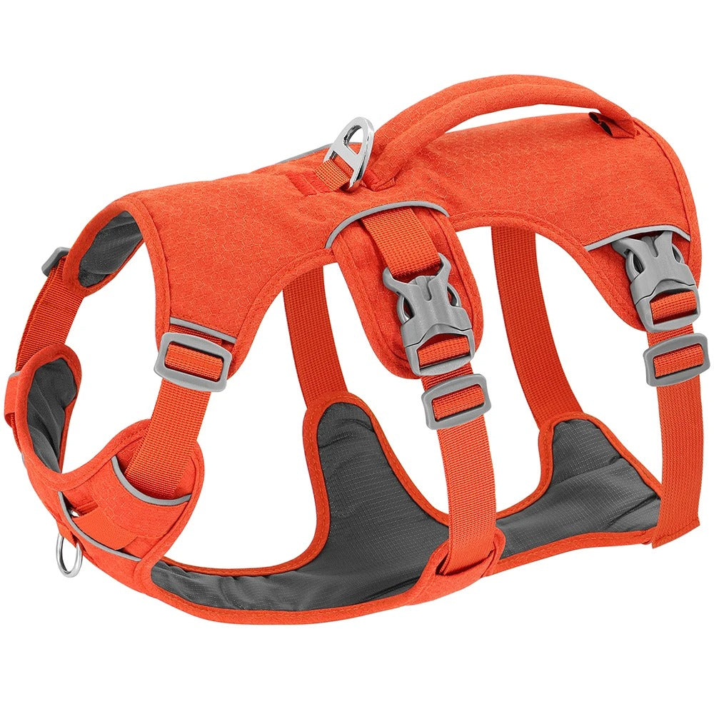 harnais anti traction orange rembourré doux nylon