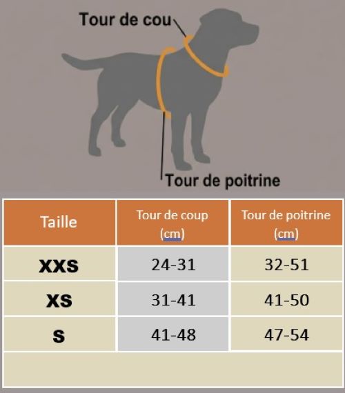 chien harnais anti traction petit chien tableau grandeur