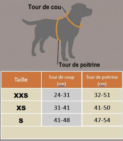 chien harnais anti traction petit chien tableau grandeur