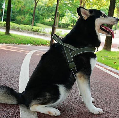 harnais anti traction pour chien ajustable coutures réfléchissantes