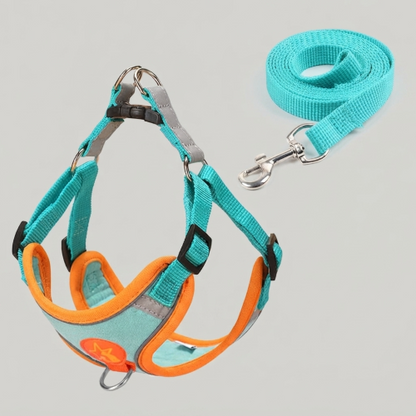 Harnais anti traction pour Chien | Traction Polyvalentes