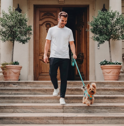 harnais anti‑traction pour chien élément réfléchissant