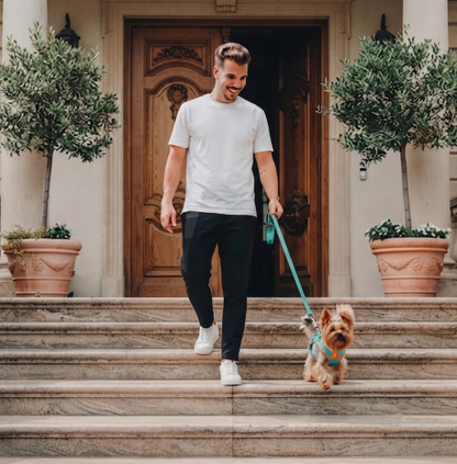 harnais anti‑traction pour chien élément réfléchissant