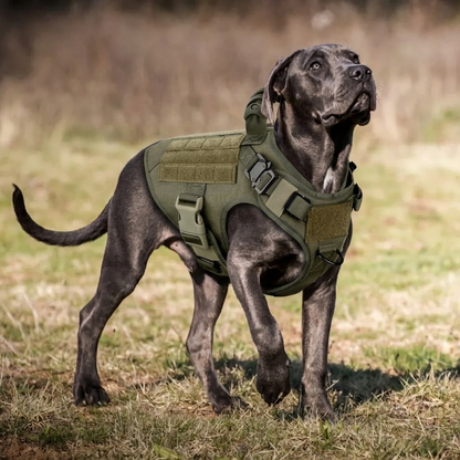 harnais anti traction pour chien libération rapide