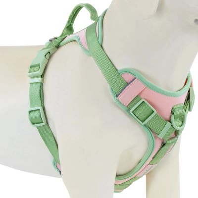 harnais anti traction pour chien vert rose