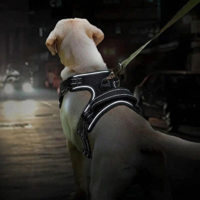 harnais chien anti traction polyester réfléchissant poignée