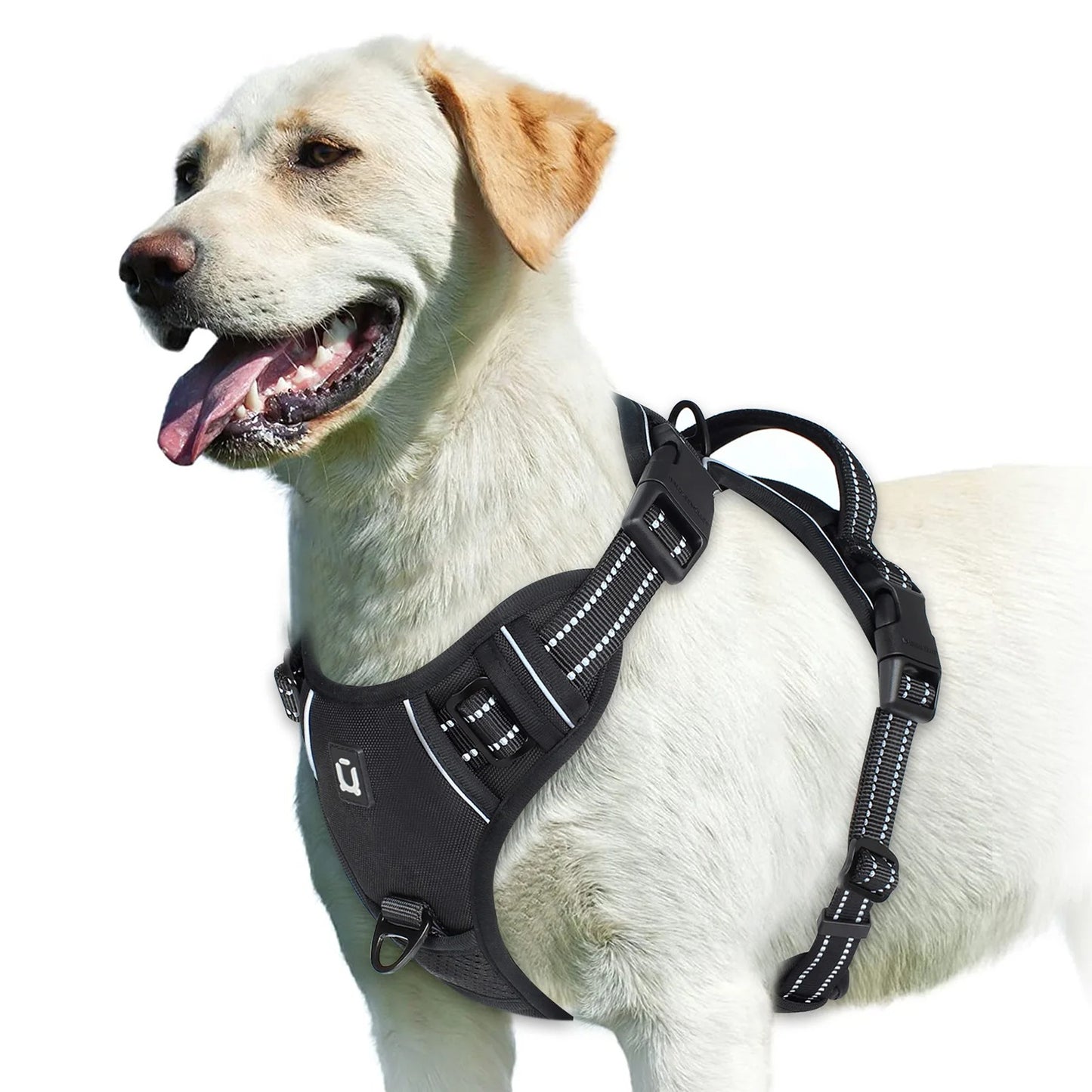 harnais chien anti traction noir poignée contrôle