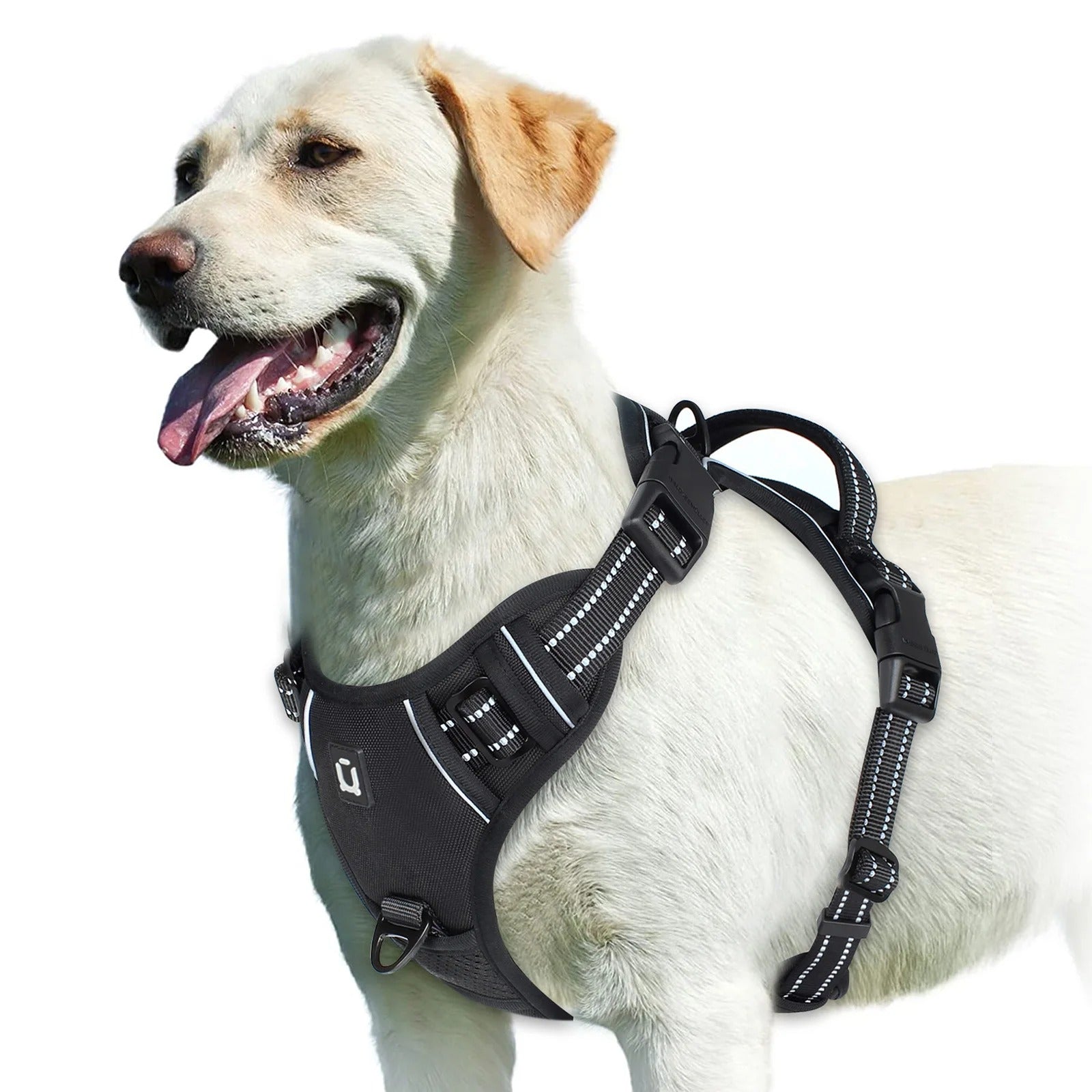 harnais chien anti traction noir poignée contrôle