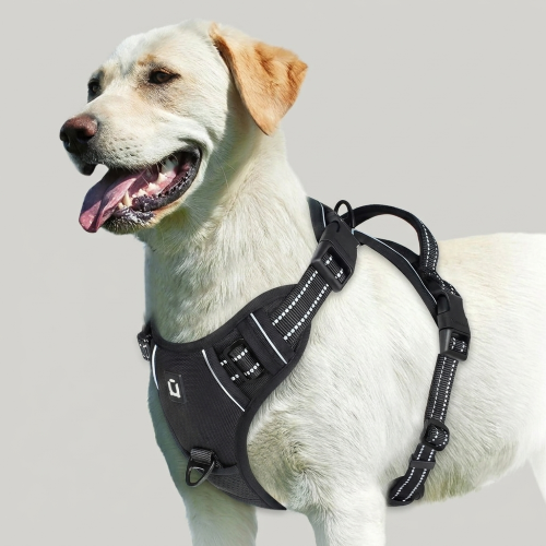 harnais chien anti traction noir poignée contrôle
