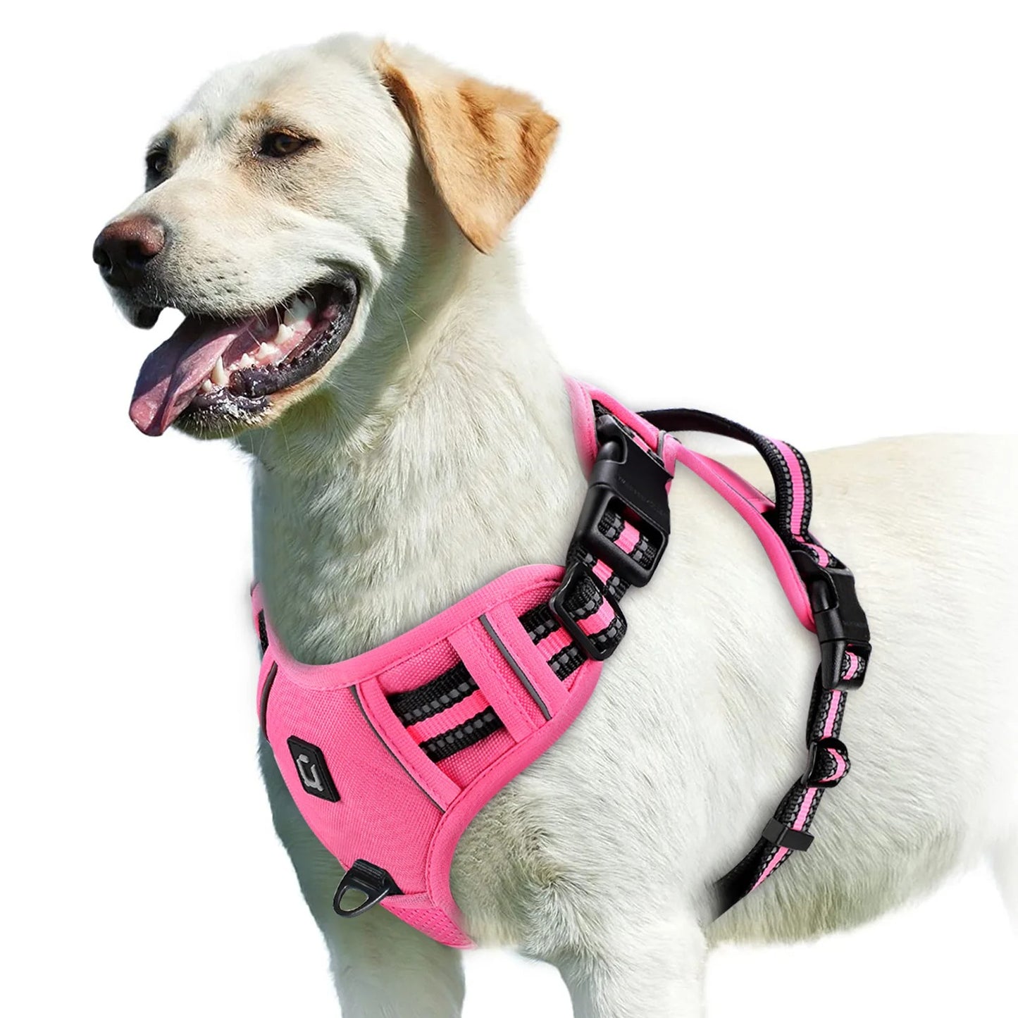 harnais chien anti traction rose ajustable bandes réfléchissantes