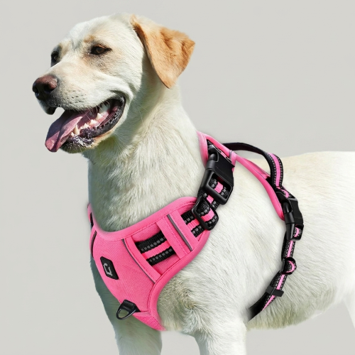 harnais chien anti‑traction rose ajustable bandes réfléchissantes