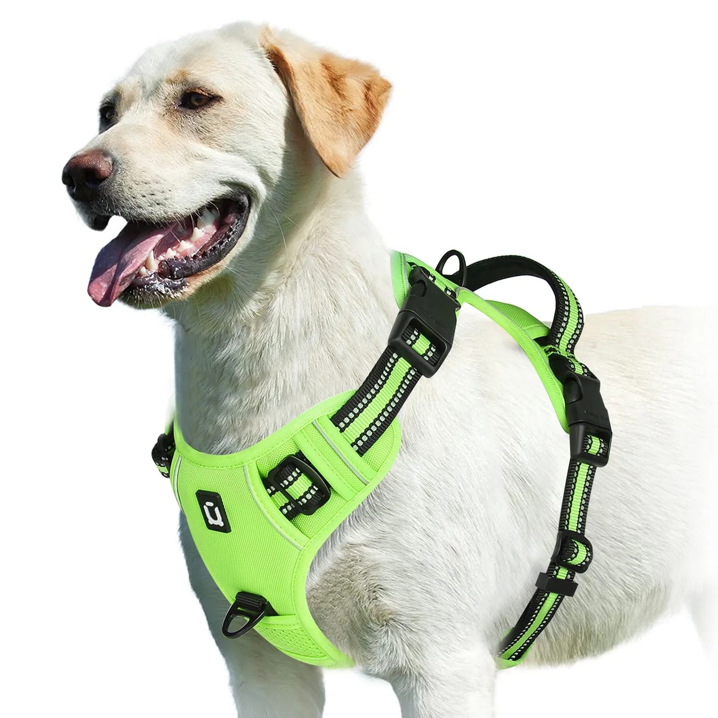 harnais chien anti traction vert quatre points ajustements