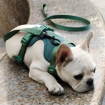 harnais chien anti traction veste élégante fonctionnel ajustable