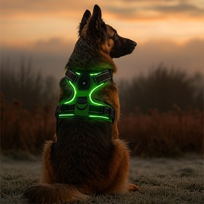 harnais chien lumineux rechargeable nylon led trois modes