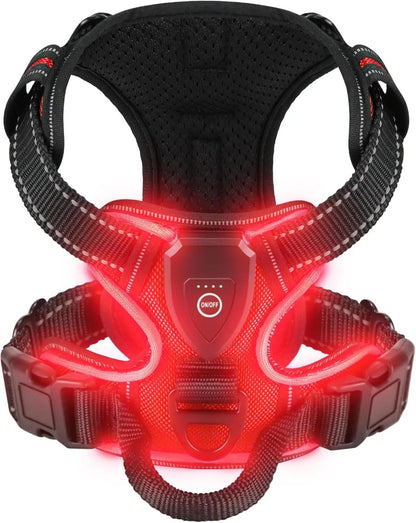 harnais chien lumineux 3 modes éclairage rouge