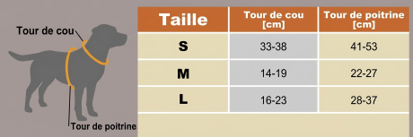 harnais chien lumineux taille poitrine et cou