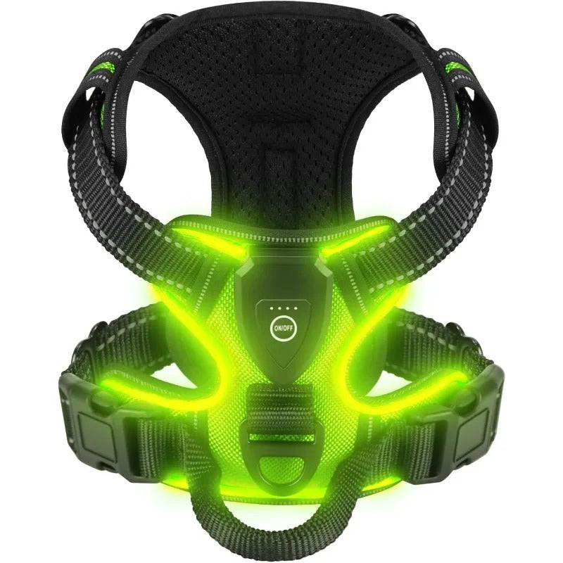 harnais chien lumineux vert led sécurité petit