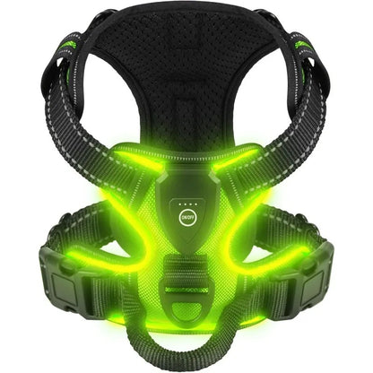 harnais chien lumineux vert led sécurité petit