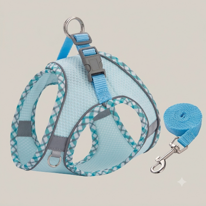 harnais chiot bleu ensemble avec laisse