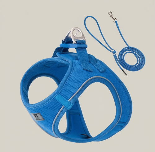 harnais chiot bleu nylon ajustable durable