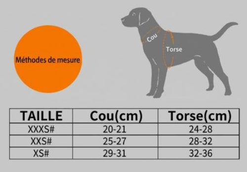 harnais chiot nylon laisse tableau grandeur
