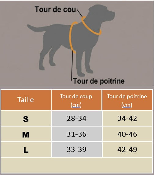 harnais chiot tableau grandeur cou poitrine
