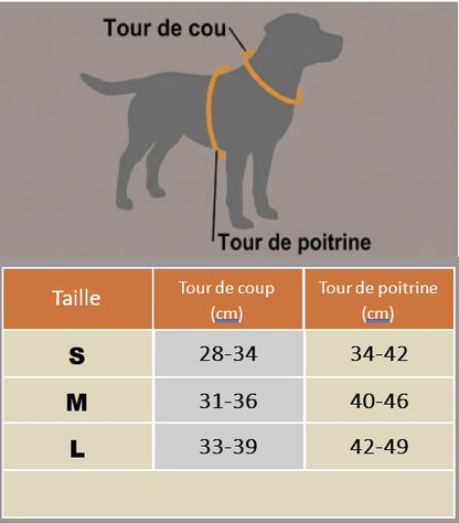 harnais chiot tableau grandeur cou poitrine