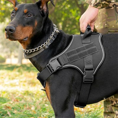 harnais en T gilet entrainement nylon durable